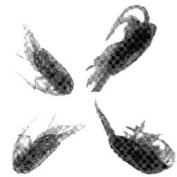 Introducción a la identificación automática