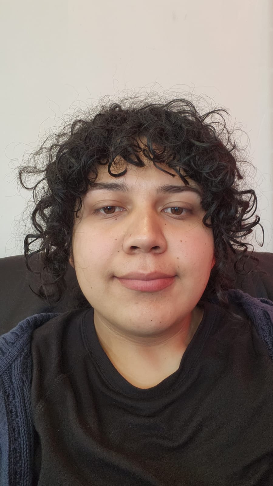 Josue Alvarez Borrego