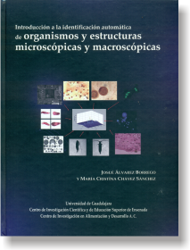 Introducción a la identificación automática