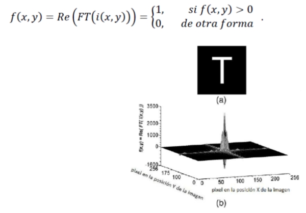Fig. 10 (a) imagen formada por 256 x 256 pixeles con la letra T centrada. (b) la parte real de la transformada de Fourier de la imagen. 