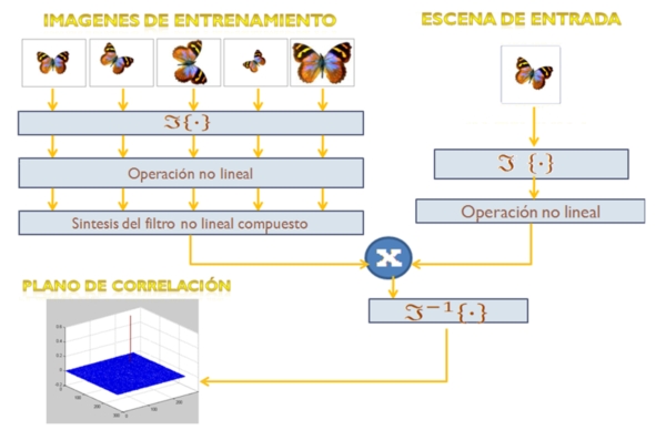 Figura 9.  Diagrama de la síntesis de un filtro no lineal compuesto y su correlación con una imagen problema.